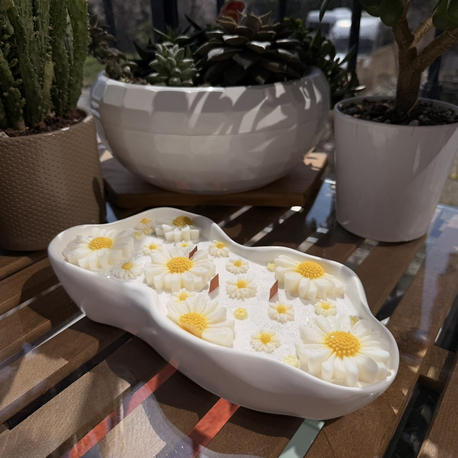Uzun Kase Papatya (Soya Wax )