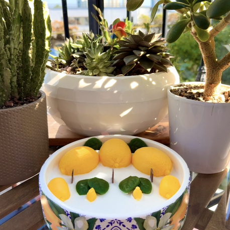 Amalfi Büyük Kase (Soya Wax)