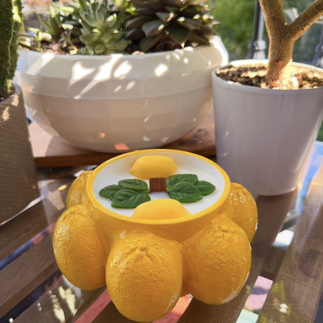 Amalfi Tekli Limon Mumluk (Soya Wax)