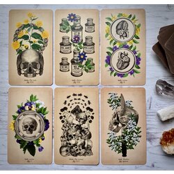 Antik Anatomy Tarot Destesi