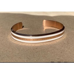 Daniel Wellington Bileklik 
