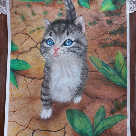 Yavru Kedi
