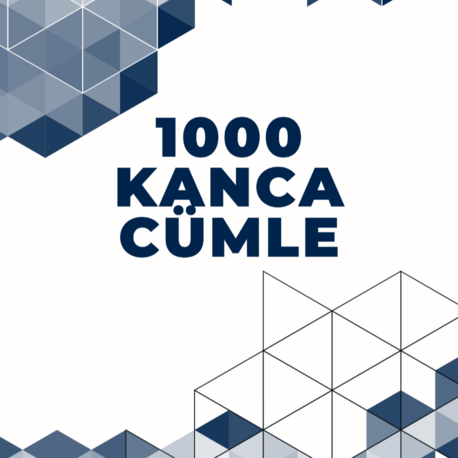 1000 tane kanca (hook) cümle
