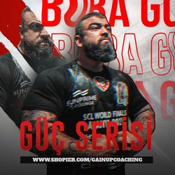 Güç Serisi 2