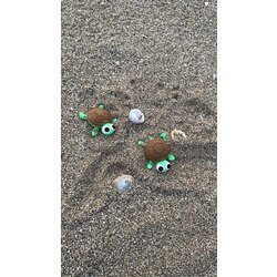 Kaplumbağa crocs tokası