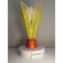 Galatasaray Süper Kupa