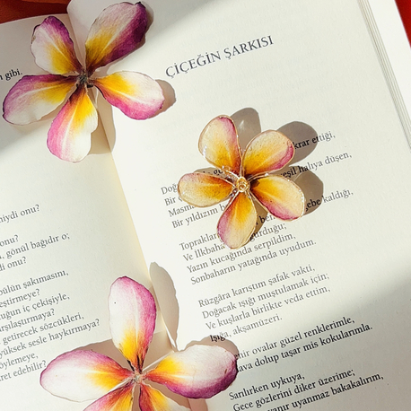 Minik Plumeria Broş