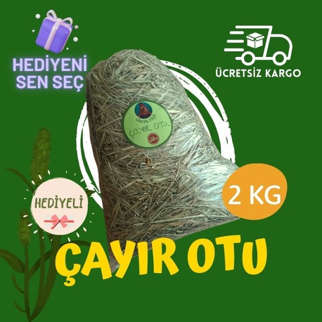 Ginepig Paşa 2000 Gram Çayır Otu Paketi +HEDİYENİ SEN SEÇ