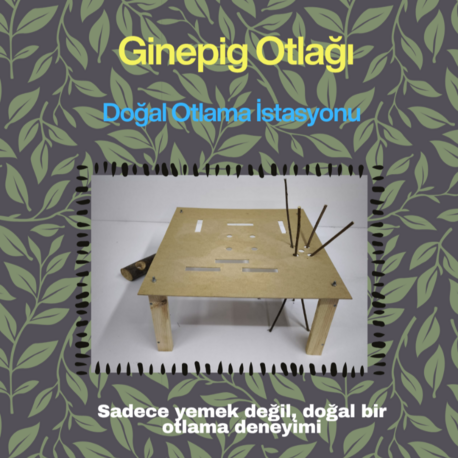 GinepigPaşa Ginepig Otlağı + Kütük Otluk