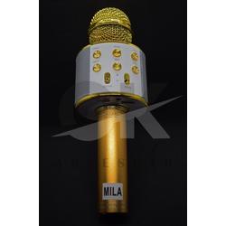 WSTER WS-858 KARAOKE MİKROFON BLUETOOTH HOPARLÖR AUX USB MİKRO SD KART GİRİŞLİ