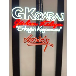 VICE CITY AYNA SÜSÜ