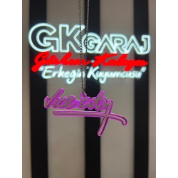 VICE CITY AYNA SÜSÜ