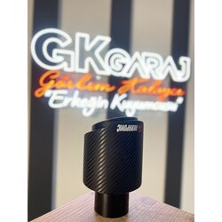 AKROPOVİÇ EGSOZ