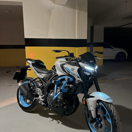 YAMAHA MT-25 6’lı ÖN KORUMA DEMİRİ ICE STORM
