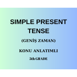 SIMPLE PRESENT TENSE 
