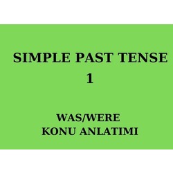 SIMPLE PAST TENSE 1. BOOKLET