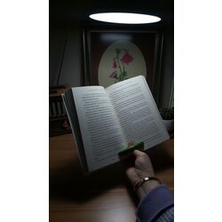 Kitap Kuşu