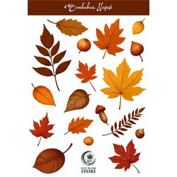 Sonbahar Neşesi - Sticker -