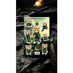 KÖH (Kedi Özel Harekat) - 1