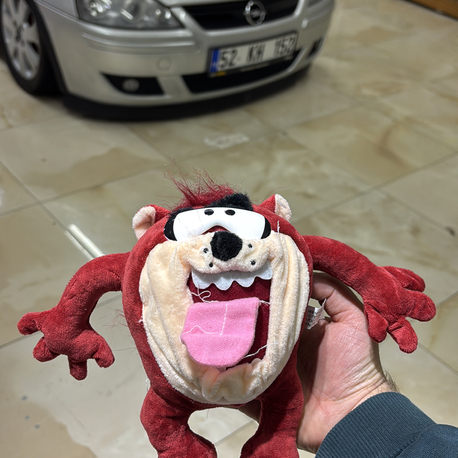 Taz süs 