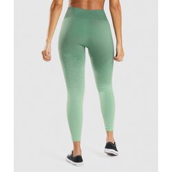Gymshark ombre tayt 