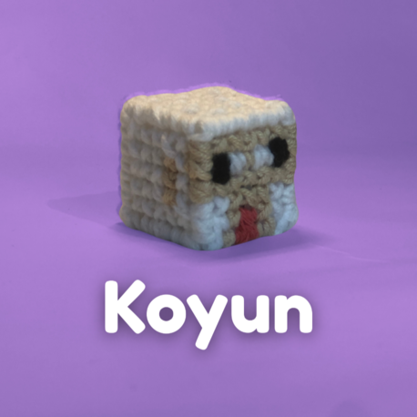 Koyun Kendin Yap Hobi Kiti
