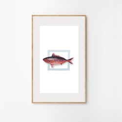 Fishpink (30x50cm)