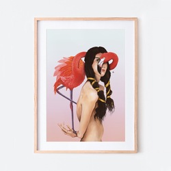 Flamingo (50x70 cm Poster)