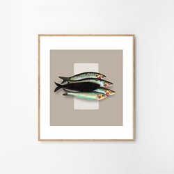 Pisces (25x25cm)