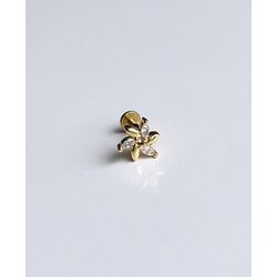 Habitas- Brillant Star Piercing