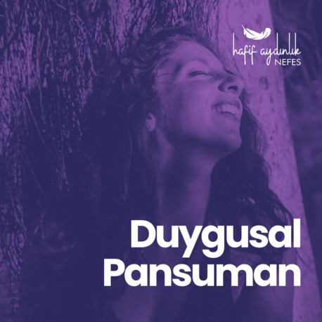 Duygusal Pansuman Eğitim ve Uygulama Seti
