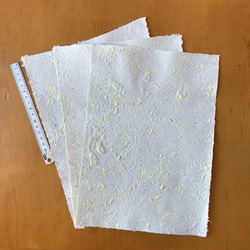 Sarı Benekli Kağıt