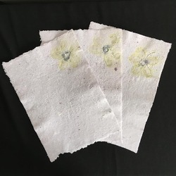 Eco Print Kağıt (3'lü Set)