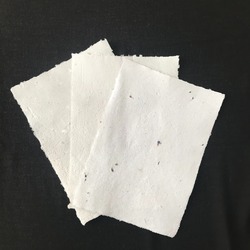 Çiçekli Kağıt (3'lü Set)