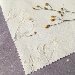 Dandelion Kağıt
