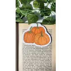 Bal kabağı mıknatıslı kitap ayracı
