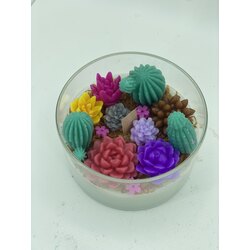 Teraryum mum