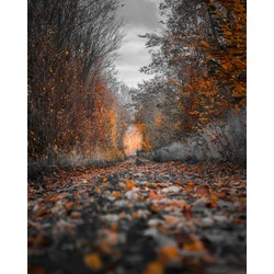 Autumn - Üç Parça Sublimasyon Metal Tablo