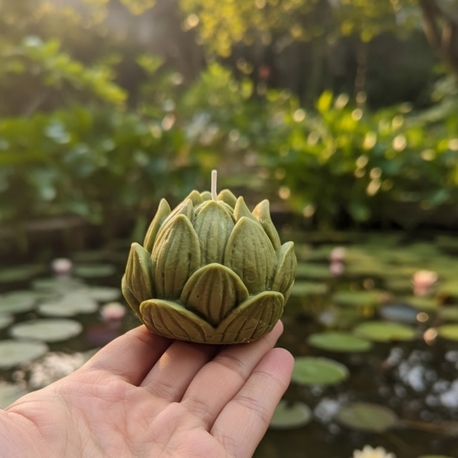 Lotus Mum