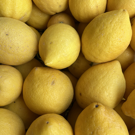 Limon yediveren 1 kg