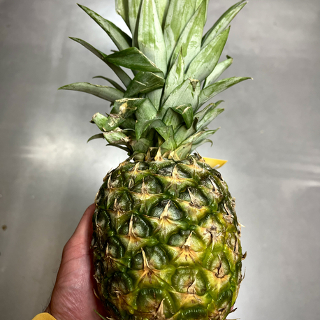 Ananas 