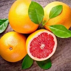 3 Yaş Greyfurt Fidanı