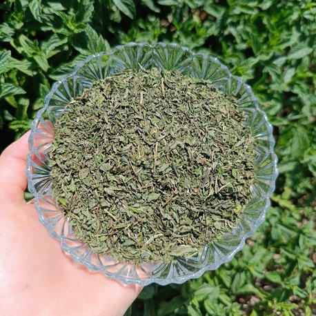 Kuru nane (50 gr)