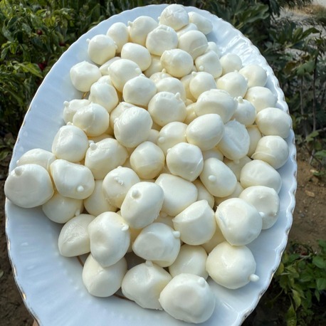 Misket peyniri(500 gr)