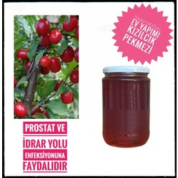 Kızılcık Pekmezi 850 gr 