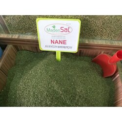 Yayla Nanesi Kilo 100 Tl