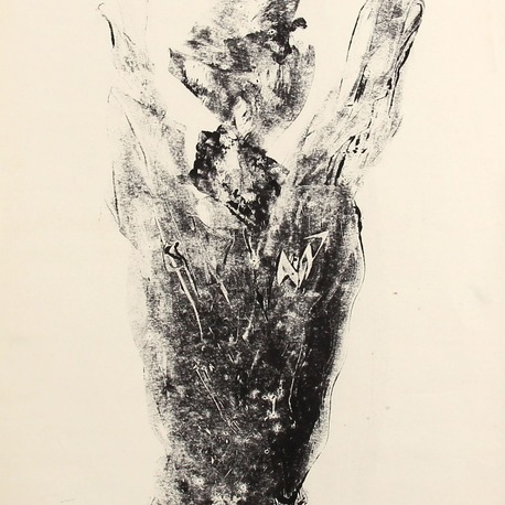 Torso