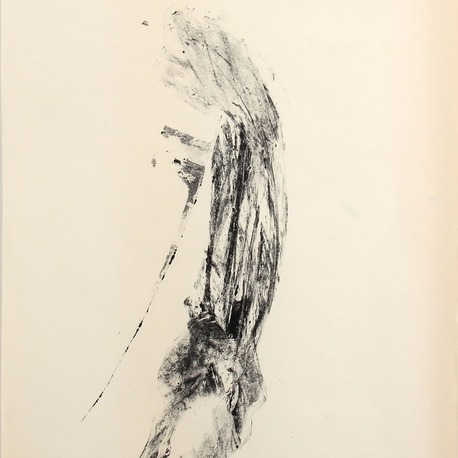 Torso