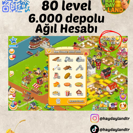 80+ LEVEL 6000 AĞIL MALZEMESİ DOLU HESAP