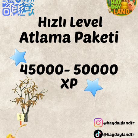 LEVEL ATLAMA PAKETİ (XP)